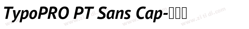 TypoPRO PT Sans Cap字体转换